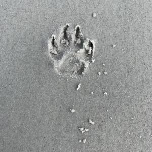 Meet your Posher, Meredith